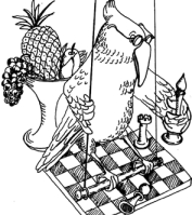 Шахматный попугай